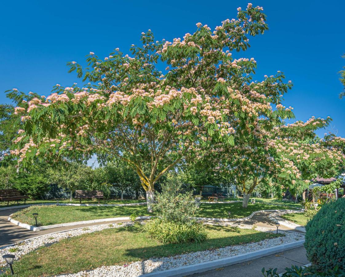 ונוס Vila Cataleya מראה חיצוני תמונה