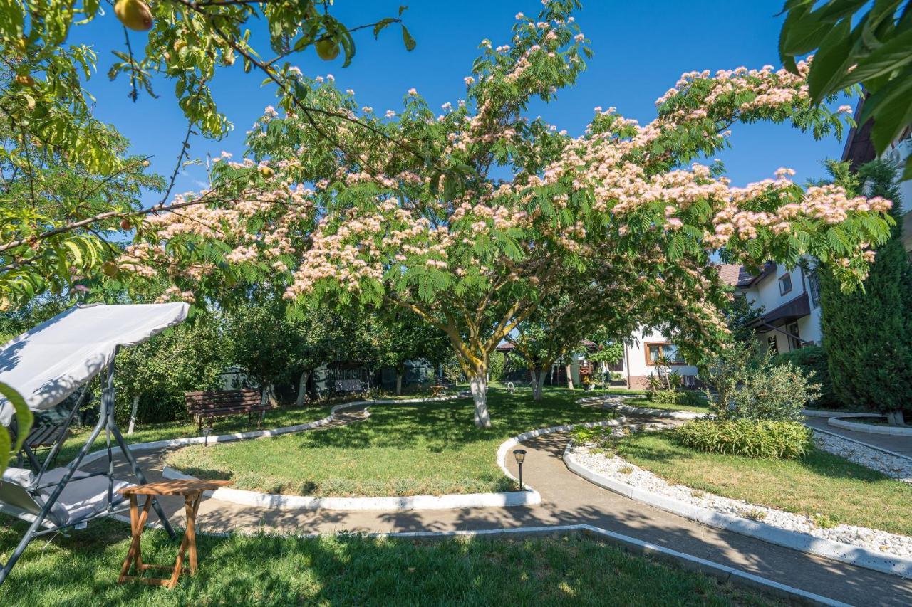 ונוס Vila Cataleya מראה חיצוני תמונה